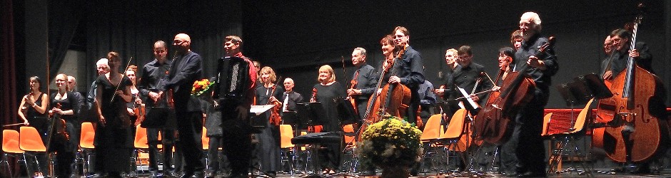 Kammerorchester Metzingen